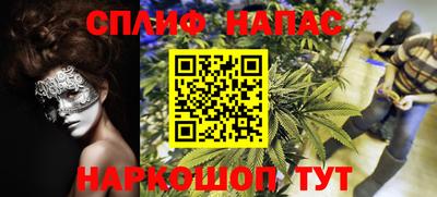 гидропоника Кингисепп