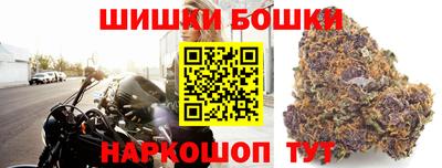 гидропоника Кингисепп
