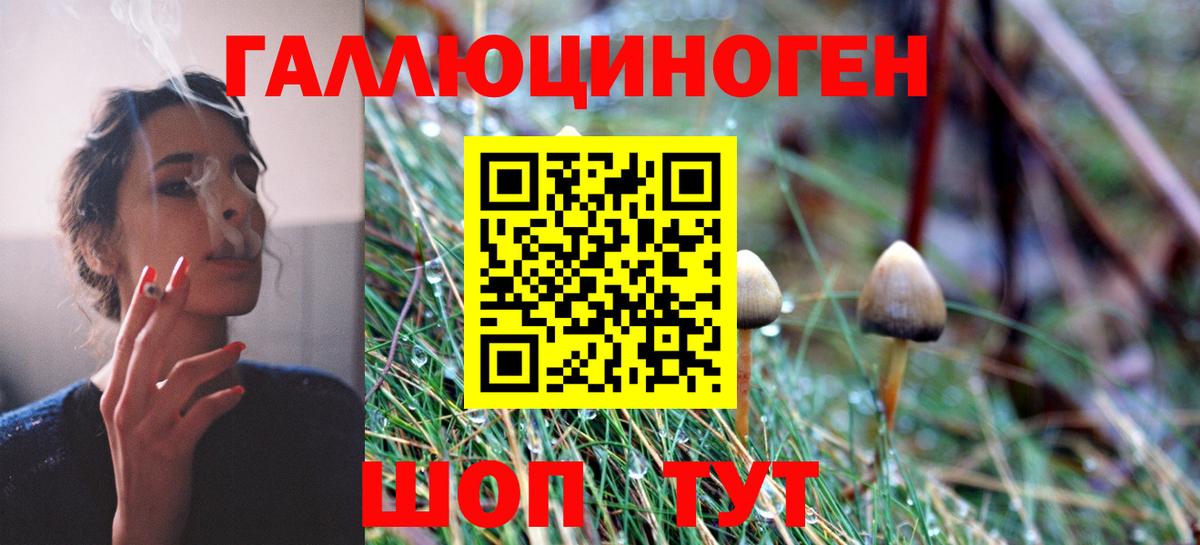 Галлюциногенные грибы GOLDEN TEACHER Нововоронеж